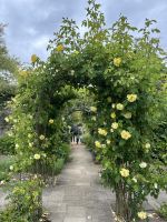 25.05.2025:  Botanischer Garten Samares Manor