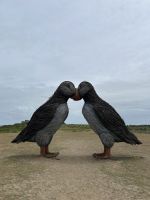 26.06.2025 Inselrundfahrt auf Jersey