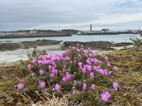 26.05.2025 Freizeit auf Jersey Elizabeth Castle