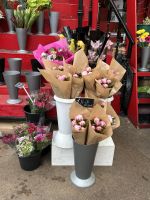 26.05.2025 Freizeit auf Jersey Elizabeth Jersey Markthalle