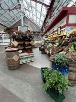 26.05.2025 Freizeit auf Jersey Elizabeth Jersey Markthalle