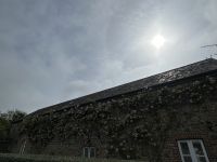 28.05.2025 Gartentour auf Jersey - Besuch bei Mr. Miles