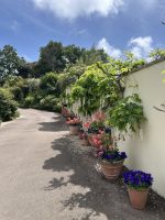 28.05.2025 Gartentour auf Jersey- zu Besuch bei Mrs. Binney