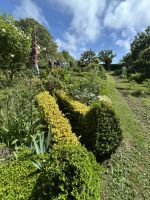 28.05.2025 Gartentour auf Jersey- zu Besuch bei Mrs. Binney