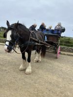 29.05.2025 Tagesausflug nach Sark - Autofreie Insel