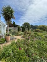 29.05.2025 Tagesausflug nach Sark la Seigneurie Gärten