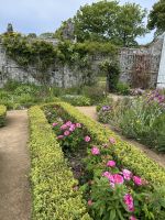 29.05.2025 Tagesausflug nach Sark la Seigneurie Gärten