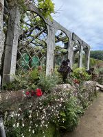 29.05.2025 Tagesausflug nach Sark la Seigneurie Gärten