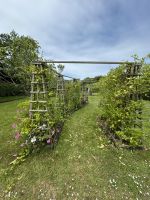 29.05.2025 Tagesausflug nach Sark la Seigneurie Gärten