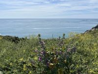 30.05.2025 Tagesausflug nach Guernsey