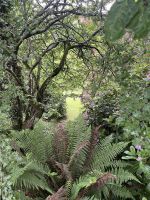 Garten Domaine De Vaux
