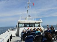 Fährüberfahrt nach Guernsey, Außenansicht