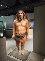 St. Helier, Jersey Museum, Neandertaler
