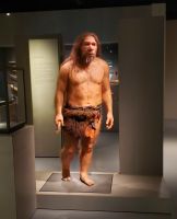 Jersey Museum. Rundreise Jersey und Guernsey - Kanalinseln entdecken (GB-JERF8)