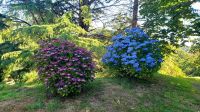 Private Gartenanlage von Mrs. Binney. Rundreise Jersey und Guernsey - Kanalinseln entdecken (GB-JERF8)