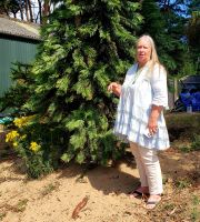 Amanda führt uns auf der Lavendel Farm und erklärt alle seltenen Pflanzen auf der Anlage. Rundreise Jersey und Guernsey - Kanalinseln entdecken (GB-JERF8) 