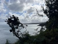 Wanderung an der Nordküste