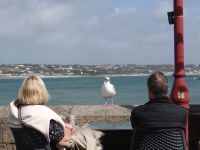 St. Aubin, Zwiesprache.