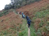 Unsere Wandergruppe schreitet munter aus.