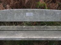 David Thompsen steht für viele, die das Leben genießen.