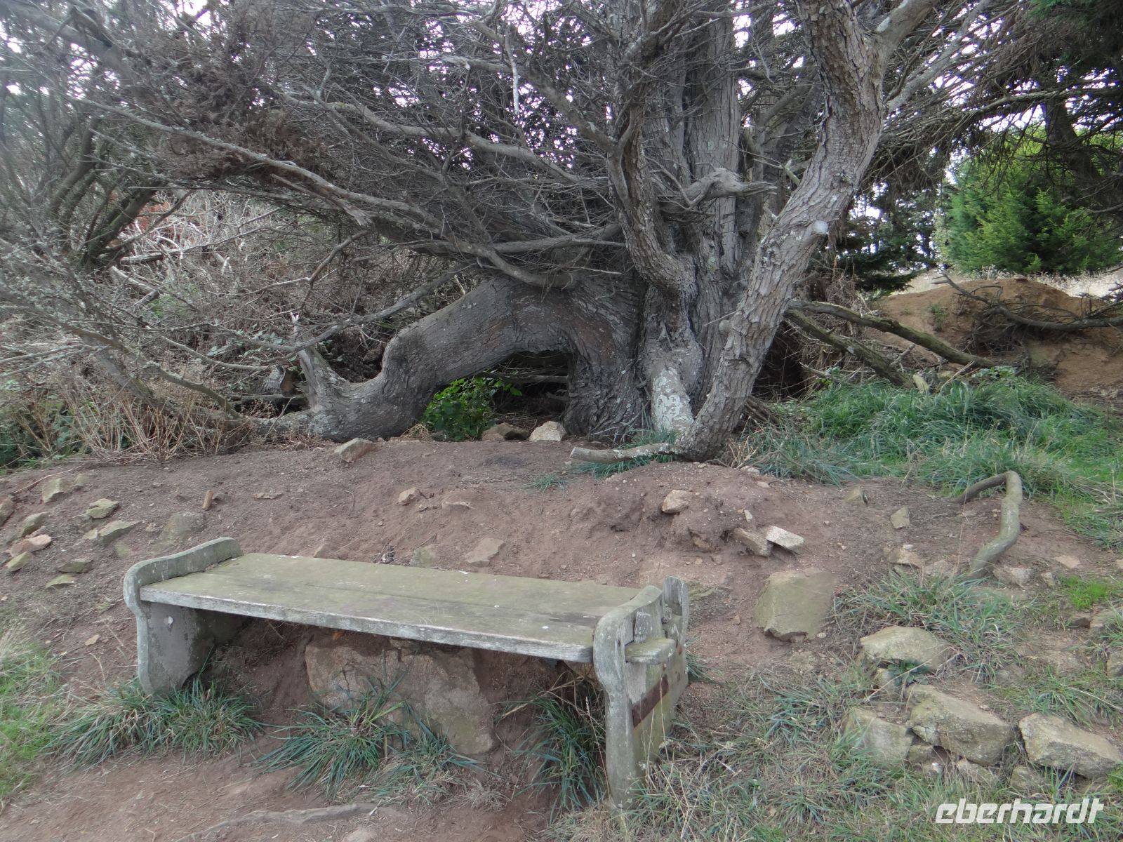 Eine der wenigen Bänke ohne Widmung in malerischer Umgebung.