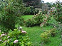 Jersey, Domaines des Vaux, die Hanganlage