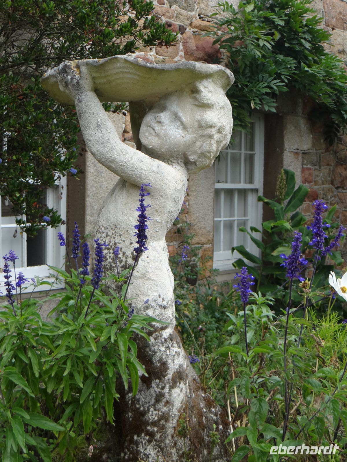 Jersey, Domaines des Vaux, kleiner Helfer im Blumengarten