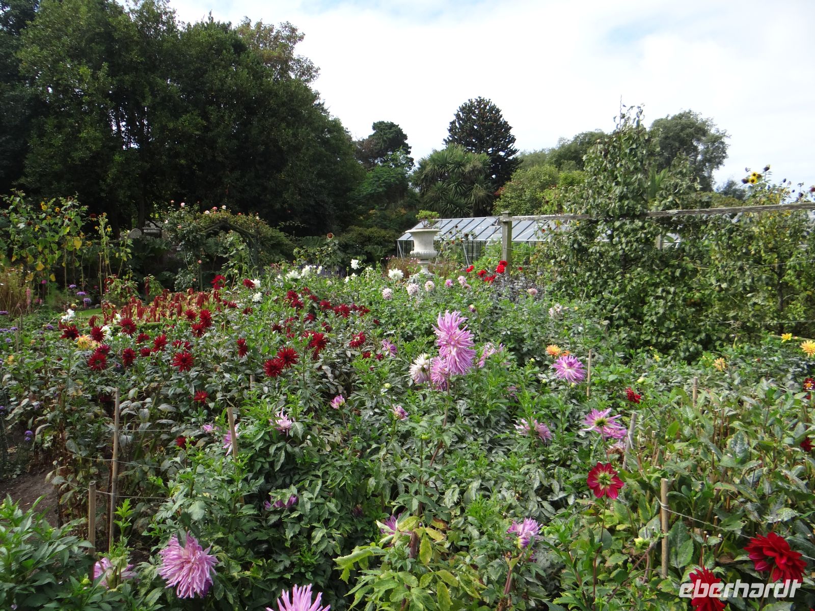 Jersey, Seafield Estate, der üppig blühende Blumengarten