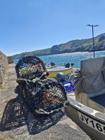 Austernfang am Bouley Bay &ndash; &copy; Britta Martini-Miles (Eberhardt TRAVEL)