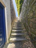 Hügeliges Guernsey &ndash; &copy; Britta Martini-Miles (Eberhardt TRAVEL)