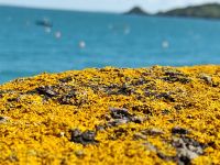Schillernde Farben &ndash; &copy; Britta Martini-Miles (Eberhardt TRAVEL)