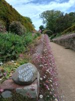 Sark &ndash; &copy; Johanna König (Eberhardt TRAVEL)