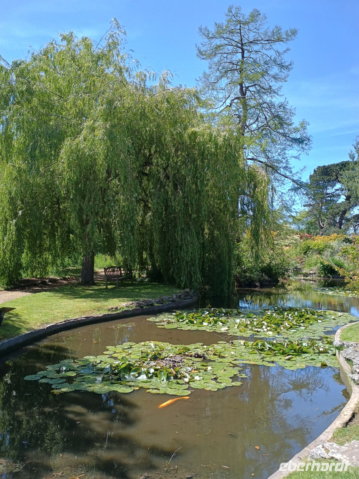 Jersey - Botanischer Garten &ndash; &copy;  (Eberhardt TRAVEL)