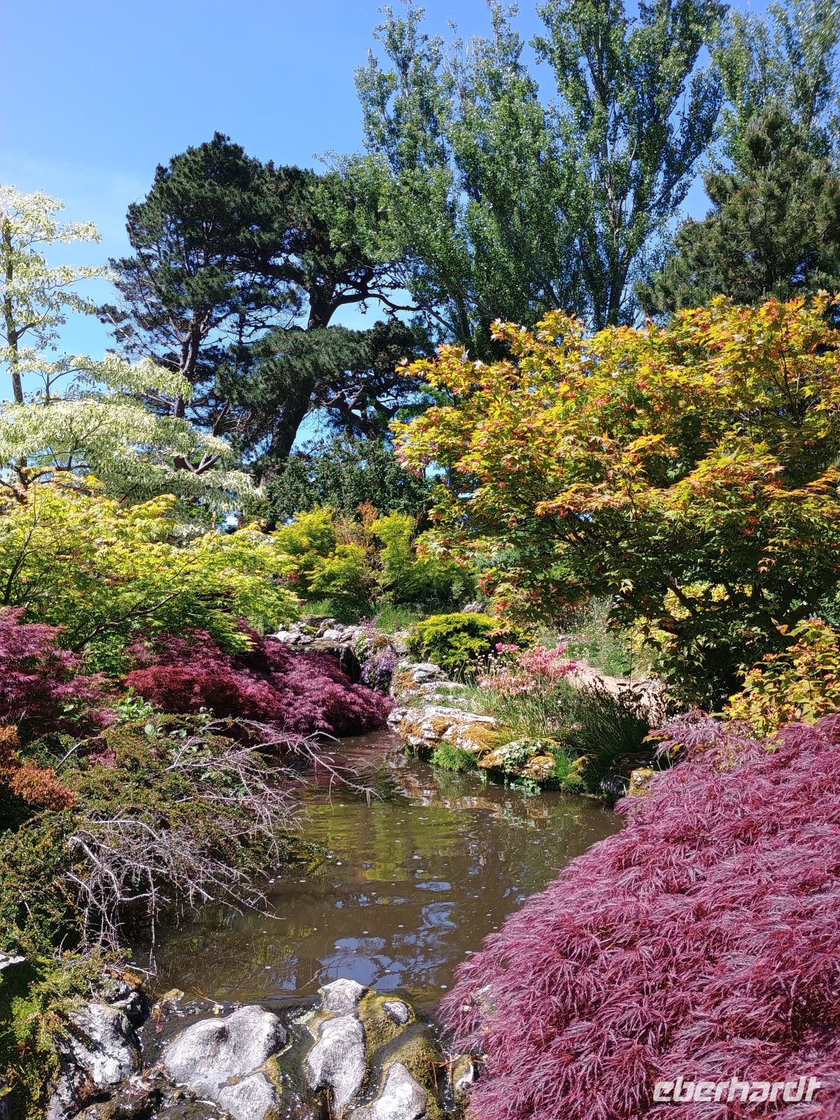 Jersey - Botanischer Garten &ndash; &copy;  (Eberhardt TRAVEL)