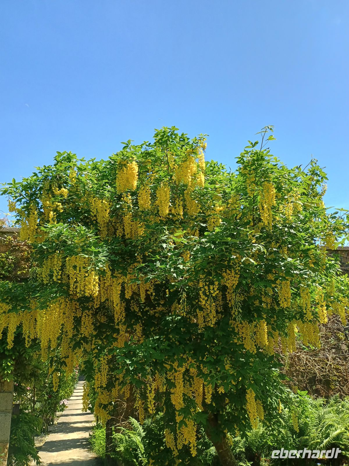 Jersey - Botanischer Garten &ndash; &copy;  (Eberhardt TRAVEL)