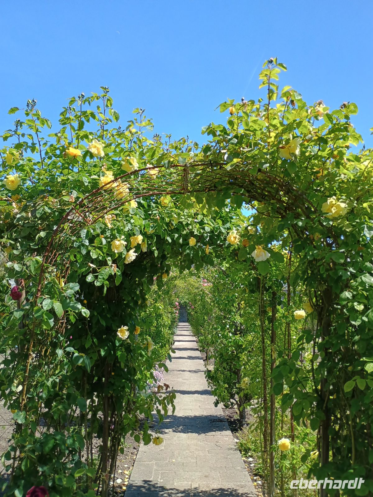 Jersey - Botanischer Garten &ndash; &copy;  (Eberhardt TRAVEL)