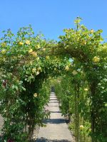 Jersey - Botanischer Garten &ndash; &copy; Johanna König (Eberhardt TRAVEL)