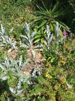 Jersey - Gartentour &ndash; &copy; Johanna König (Eberhardt TRAVEL)