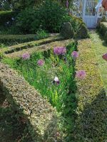 Jersey - Gartentour &ndash; &copy; Johanna König (Eberhardt TRAVEL)