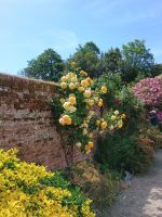 Jersey - Gartentour &ndash; &copy; Johanna König (Eberhardt TRAVEL)