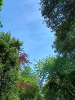 Jersey - Gartentour &ndash; &copy; Johanna König (Eberhardt TRAVEL)