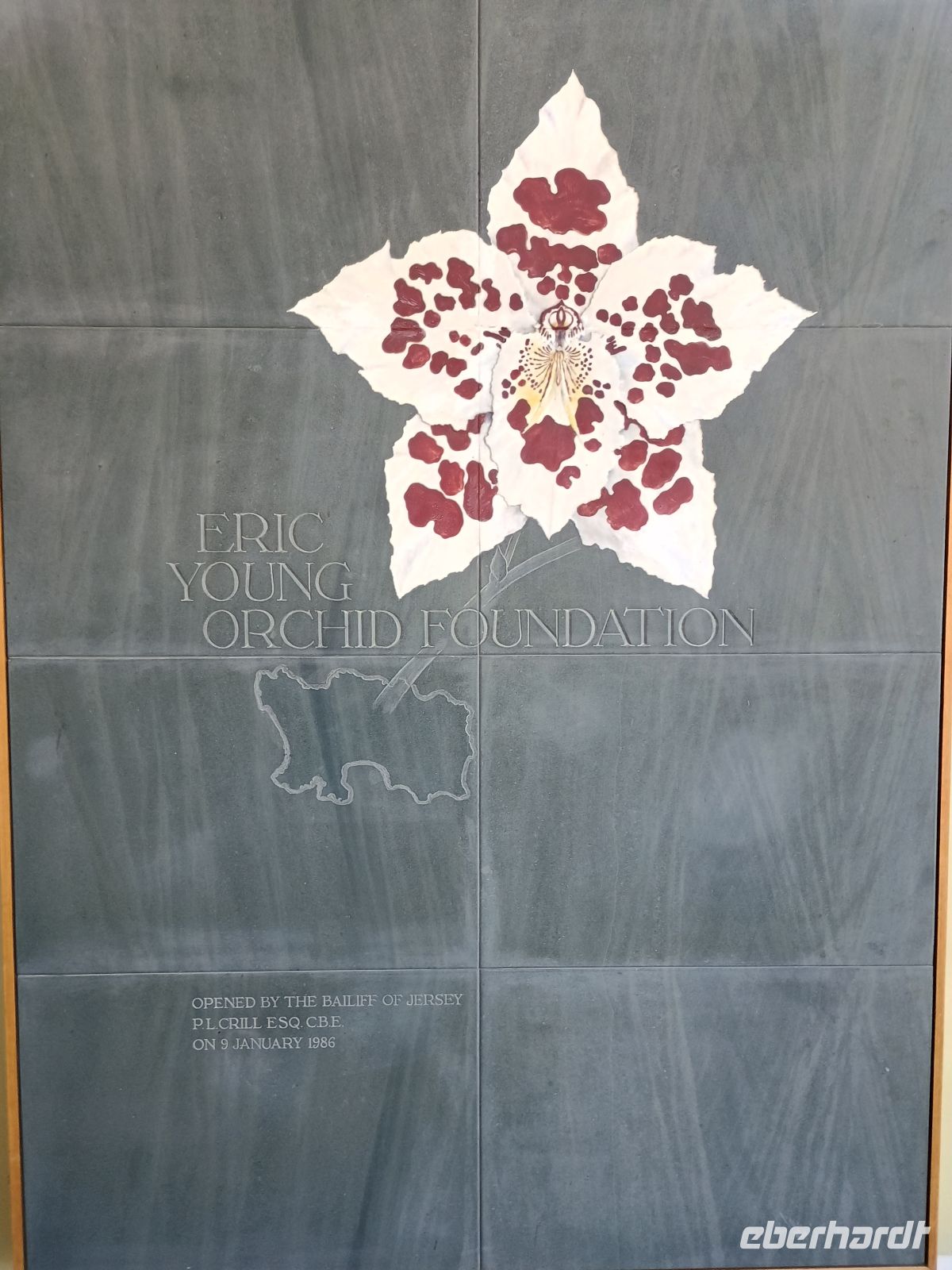 Jersey - Orchid Foundation &ndash; &copy;  (Eberhardt TRAVEL)