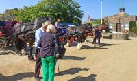 Pferdekutschen auf der Insel Sark &ndash; &copy; Kristin Weigel (Eberhardt TRAVEL)
