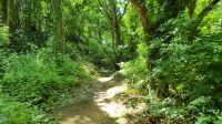Wanderung durch die Meadows auf der Insel Sark &ndash; &copy; Kristin Weigel (Eberhardt TRAVEL)