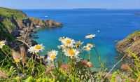 Damm La Coupée auf der Insel Sark &ndash; &copy; Kristin Weigel (Eberhardt TRAVEL)