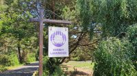 Abstecher zur Lavendelfarm Jersey Lavender &ndash; &copy; Kristin Weigel (Eberhardt TRAVEL)