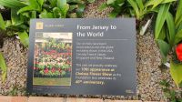 Im Orchideenhaus der Eric Young Orchid Foundation &ndash; &copy; Kristin Weigel (Eberhardt TRAVEL)