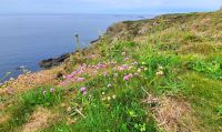 Spaziergang an der Südwestspitze von Guernsey - Pleinmont Headland &ndash; &copy; Kristin Weigel (Eberhardt TRAVEL)