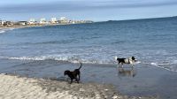 Am Strand von Havre des Pas &ndash; &copy; Felicitas Bachmann (Eberhardt TRAVEL)