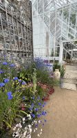 Blumenpracht  &ndash; &copy; Felicitas Bachmann (Eberhardt TRAVEL)
